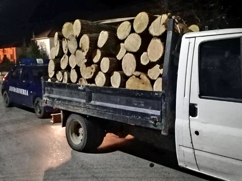 Camionetă plină cu lemn de stejar, oprită de jandarmi. Ce nereguli s-au găsit