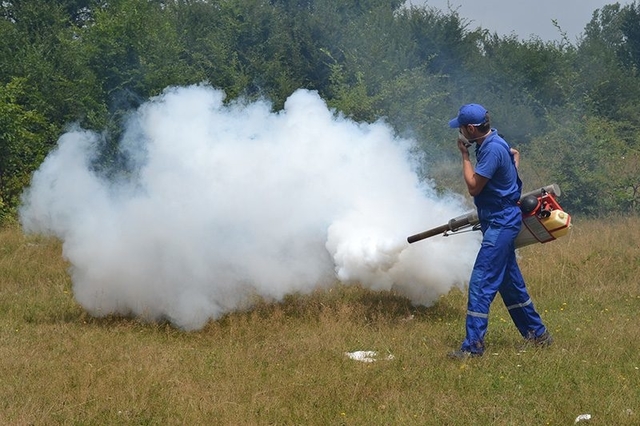 Târgovişte – Începe lupta cu ţânţarii