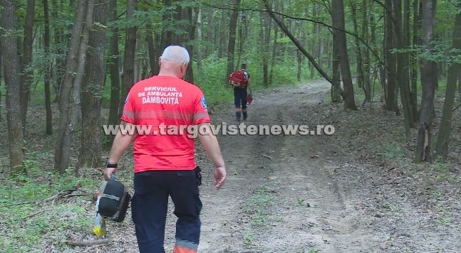 Tragedie în pădurea de la Cândești Vale. Un bărbat de numai 40 de ani și-a pierdut viața