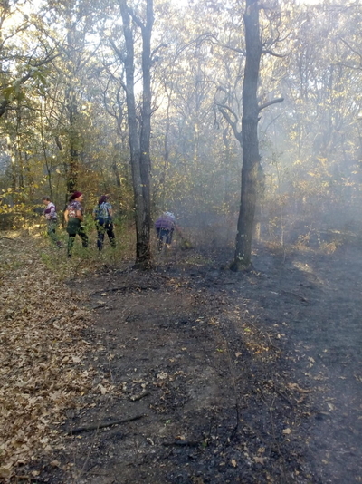 Un incendiu de vegetaţie a pus în primejdie pădurea de la Ulieşti