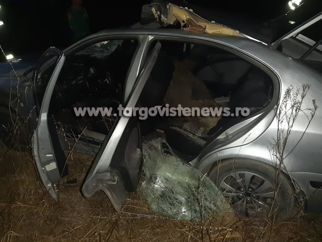 Accident şocant, la Bălteni – Șofer în stare critică din cauza unui mistreț uriaș. Animalul a ajuns în interiorul mașinii
