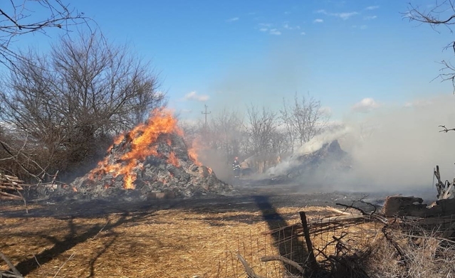 Mai multe animale au ars de vii, la Perșinari. Video