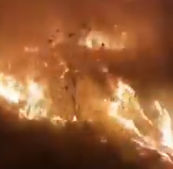 Video. Un incendiu violent a pus pe jar pompierii şi voluntarii