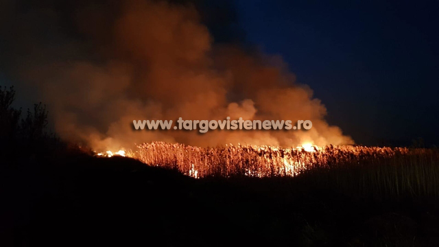 Foto – Video. Incendiu periculos între Butimanu şi Cojasca