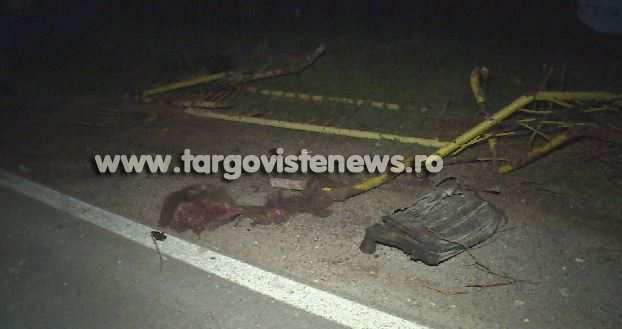 Accident spectaculos, seara trecută, la Priseaca. Un şofer a spulberat un porc mistreţ, iar apoi a rupt un cap de pod