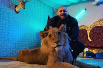 Leul folosit în videoclipul lui Dani Mocanu a ajuns la Grădina Zoo din Târgovişte