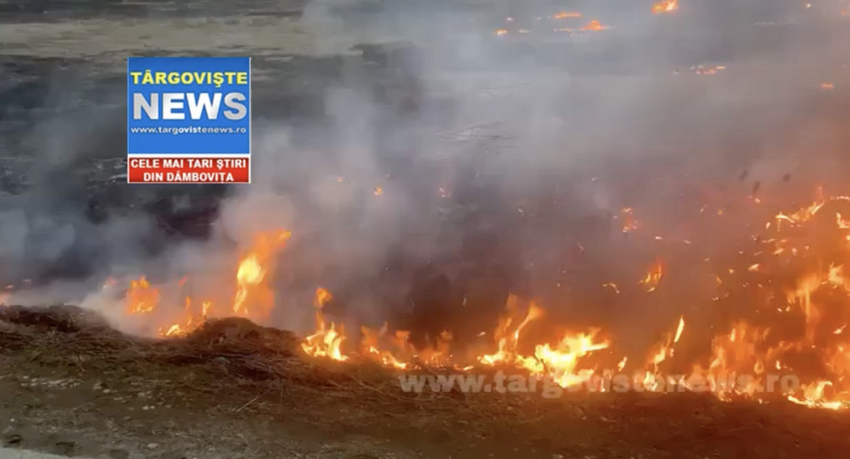 VIDEO – Un incendiu puternic a mistuit vegetația pe câmpul dintre Mărcești și Băleni