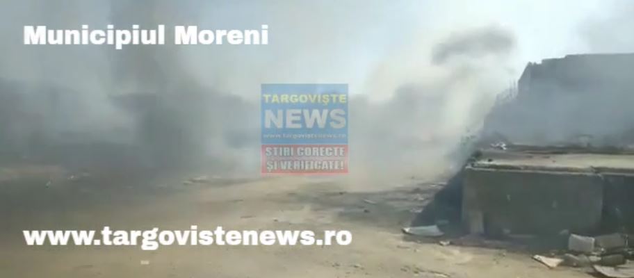 VIDEO – Pericol la Moreni. Incendiu de vegetaţie, aproape de case şi de o staţie de gaz