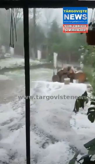 VIDEO – Ploile şi grindina au adus necazuri şi la Bezdead