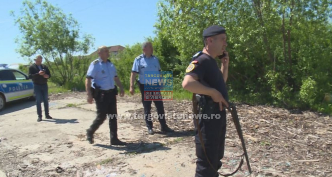 Jandarmeria Dâmboviţa le cere oamenilor să sune imediat la 112 dacă văd leul prin Târgovişte