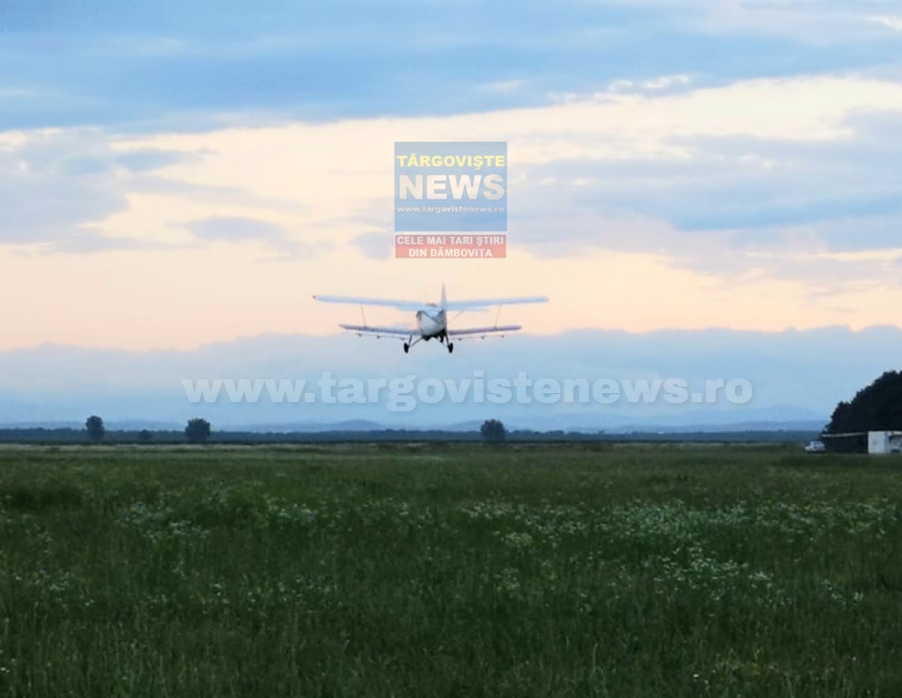 Pulverizare aeriană, în Târgovişte, împotriva insectelor, între 15 şi 22 iulie