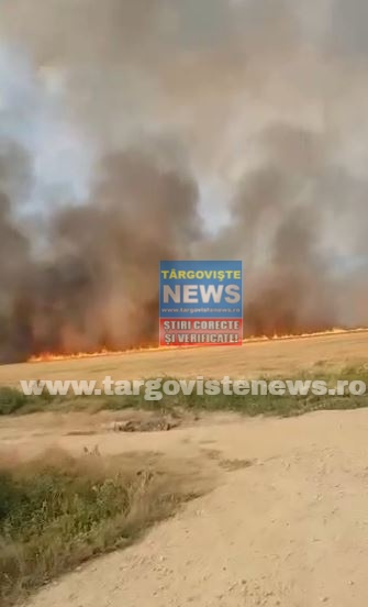 VIDEO – Incendiu de proporţii pe un câmp dintre Dâmboviţa şi Ilfov