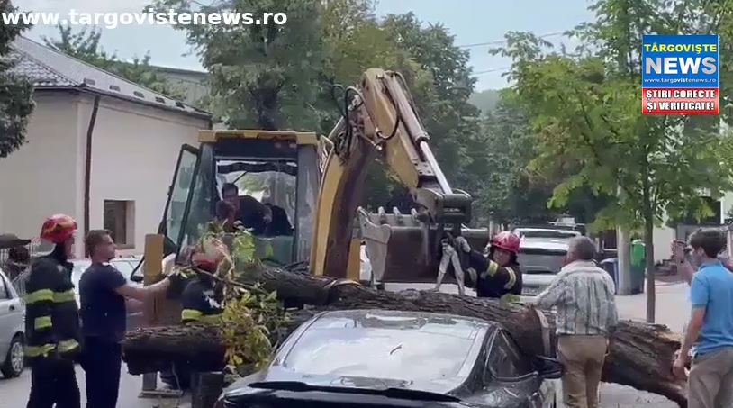 VIDEO – Ghinion pentru proprietarul unei mașini de lux din Pitești. Același copac s-a prăbușit de două ori peste bolid