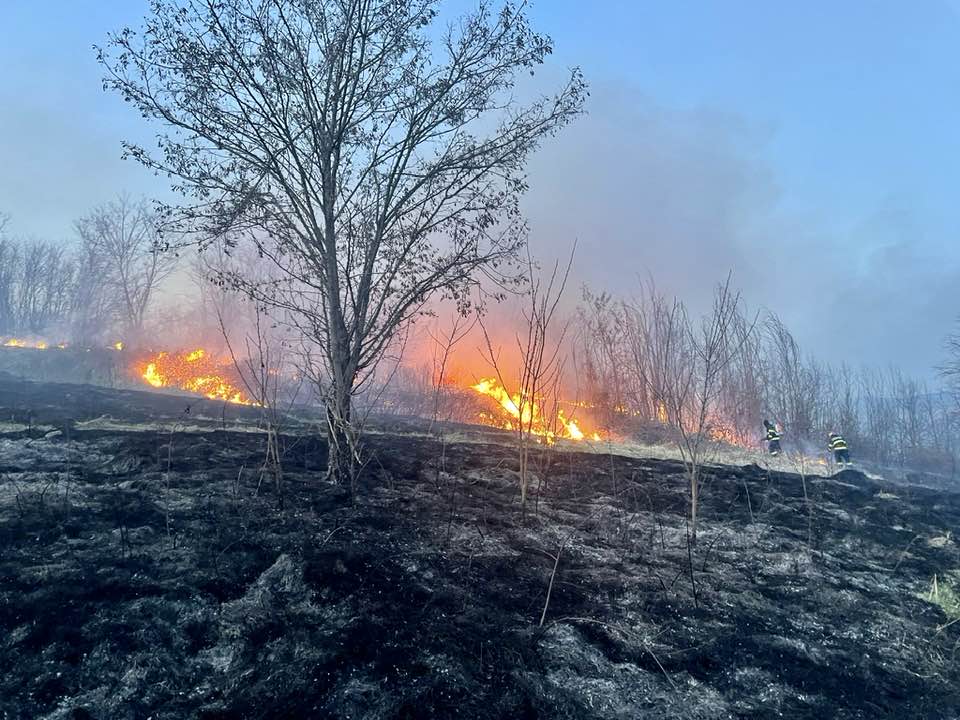FOTO/VIDEO: Incendiu de vegetație, acum în Aninoasa