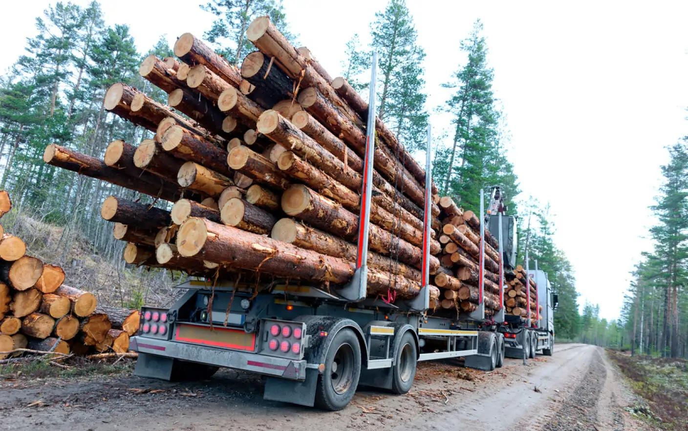 Senatorul Dragoş Popescu: ”Transportul ilegal de lemn este o problemă foarte serioasă a României”