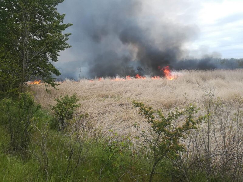 ACUM – Incendiu de vegetație, în comuna Petrești