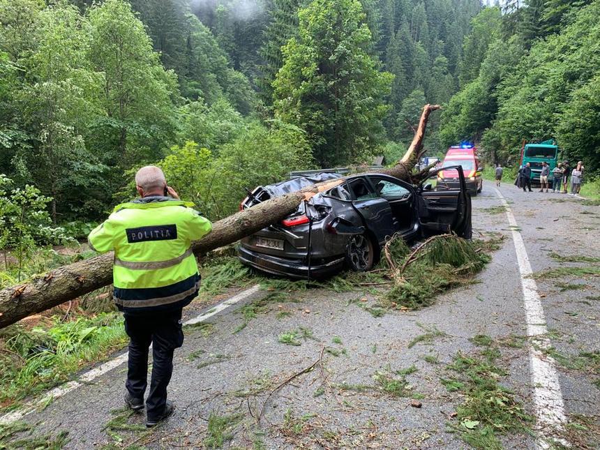 Tragedie pe Transalpina. O turistă și-a pierdut viața după ce un copac s-a prăbușit peste mașina în care era pasageră