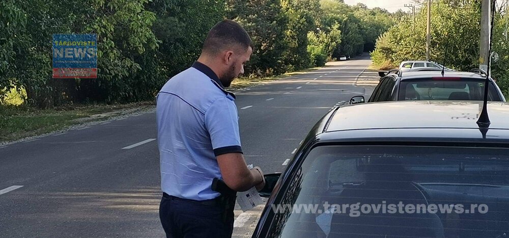 Zeci de mașini, oprite de polițiști pe DJ 702, Valea Mare – Hulubești
