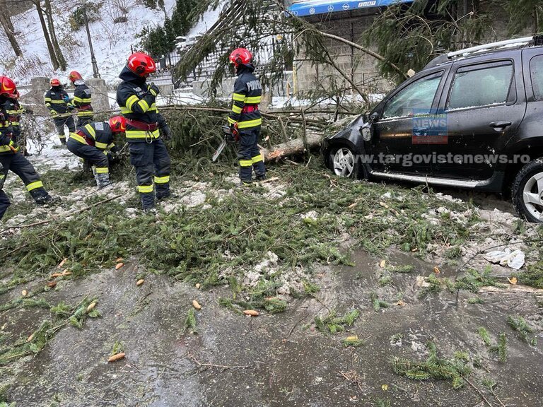 Mai mulţi copaci au fost smulşi de vântul puternic şi au avariat maşini, pe DN1, la Sinaia