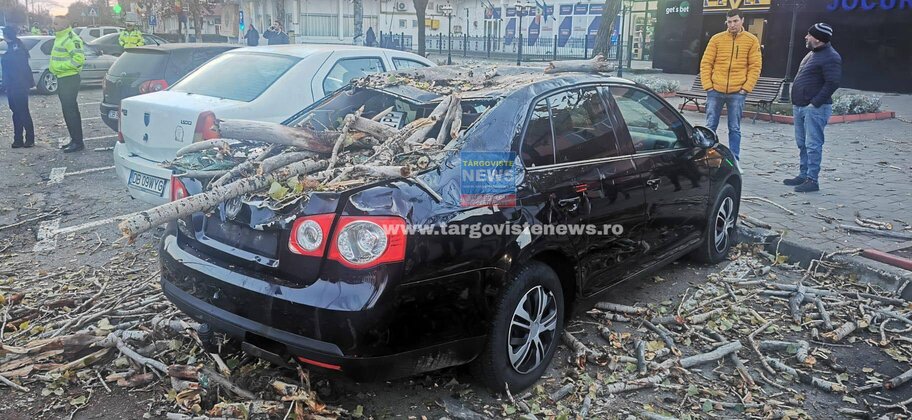 Un copac s-a prăbuşit şi a avariat grav o maşină, lângă gara din Titu. Şoferul, în pericol de moarte