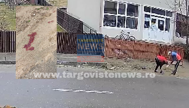 O femeie a fost atacată de un câine fără stăpân, pe o stradă din Dragodăneşti, în comuna Cândeşti