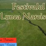 Festivalul “Lunca Narciselor”, aşteptat cu bucurie, de Florii, în comuna Vişina!