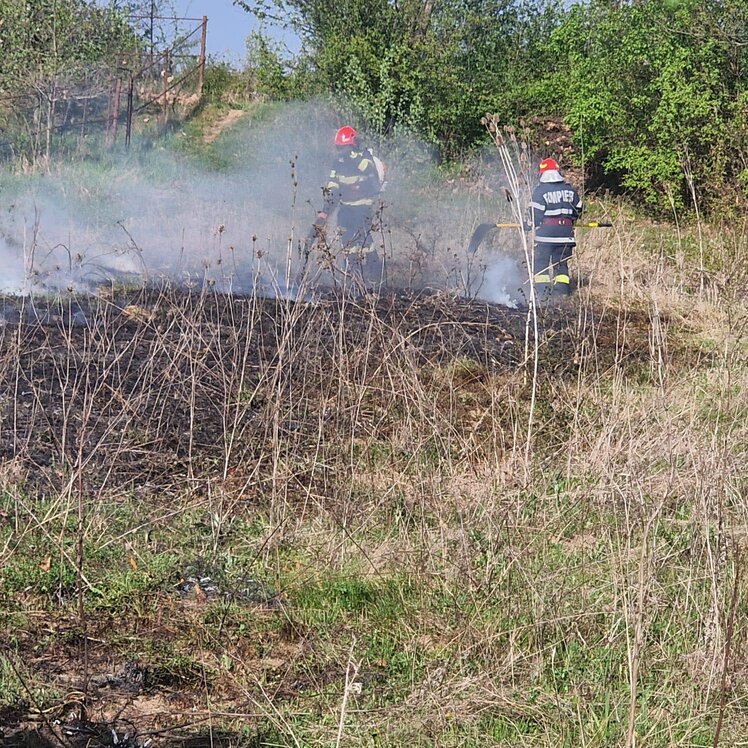 Un incendiu de vegetație a stârnit panica astăzi în satul Mislea, comuna Cobia
