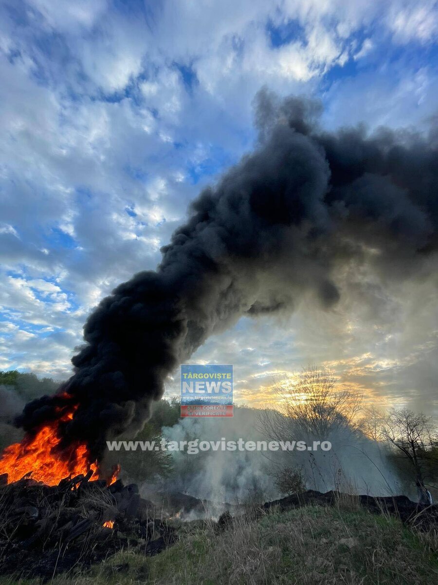 Moreni: Incendiu de mase plastice, cauciucuri şi vegetaţie uscată
