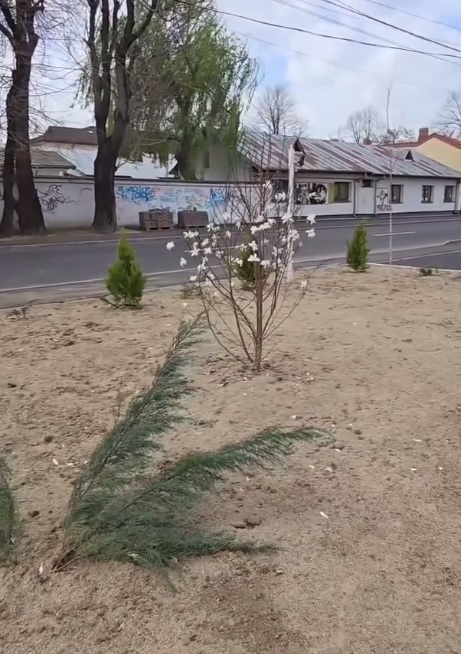 Primăria Târgovişte a amenajat un nou spaţiu verde, în vecinătatea camerei de comerţ