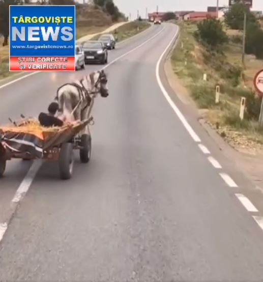Peste 16 mii de lei – Amenda usturătoare pe care a primit-o căruțașul care a băgat spaima în șoferi, pe DN 72, la Viișoara și Dumbrava