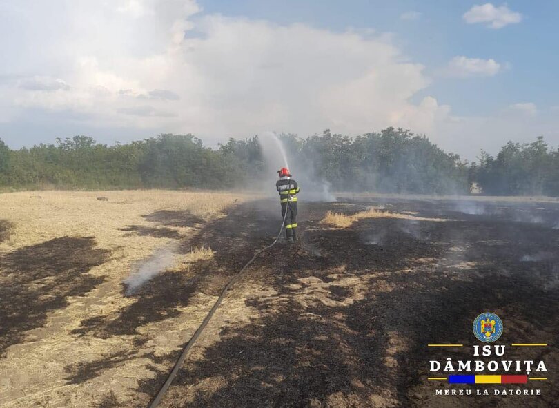 Cojasca: Incendiu de vegetație stins după 3 ore
