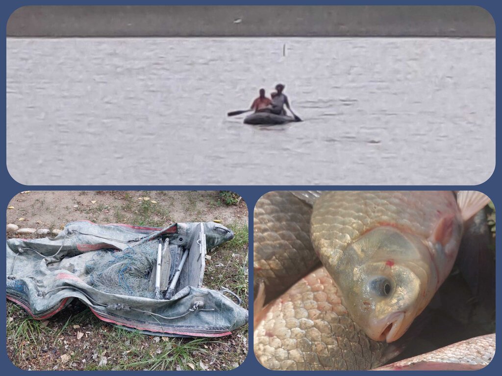 Jandarmeria Dâmbovița: Braconaj piscicol în zona barajului Pucioasa